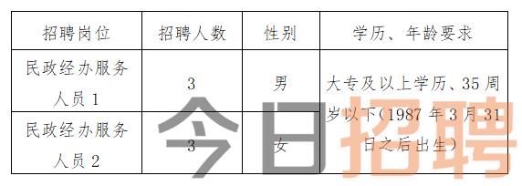 遂昌县统计局最新招聘细节全面解析