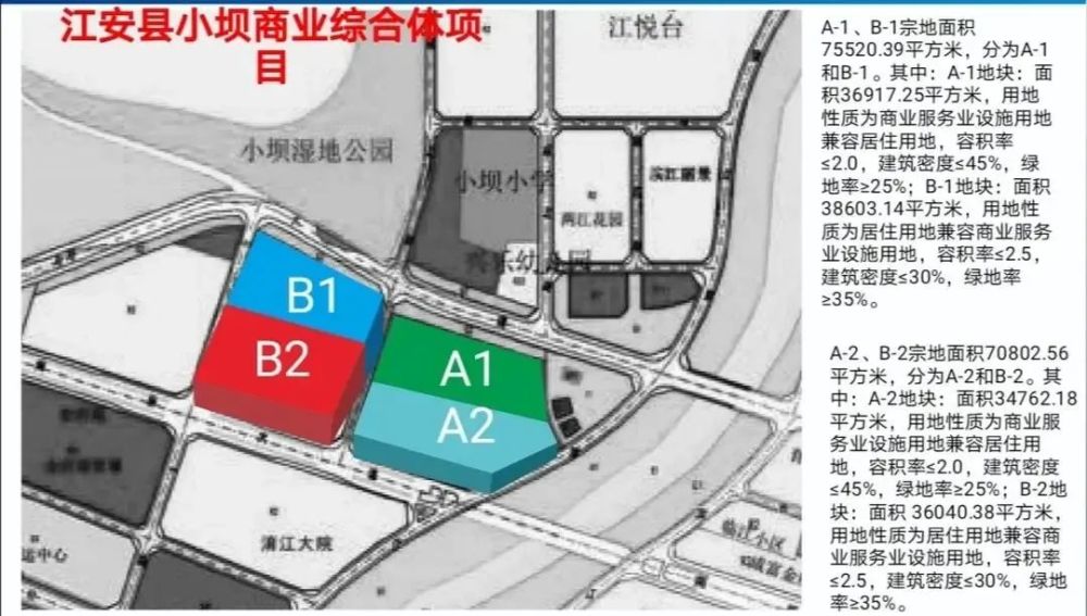 隆林各族自治县数据和政务服务局最新发展规划深度解析