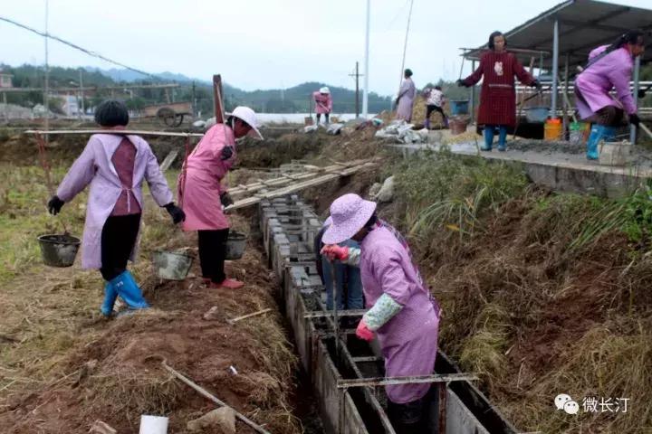 长汀县人力资源和社会保障局最新项目研究