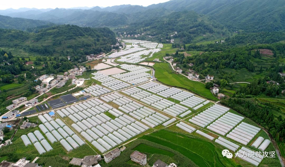 乡木村新项目启动，乡村振兴的新引擎