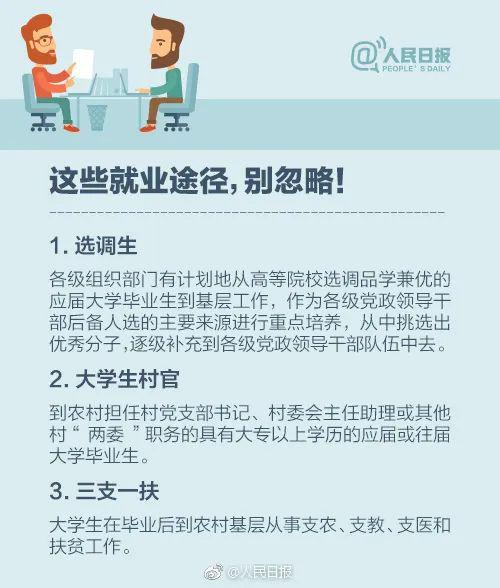 新拨乡最新招聘信息深度解读与概述