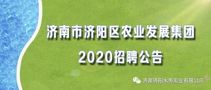 历下区农业农村局招聘新公告全面解读