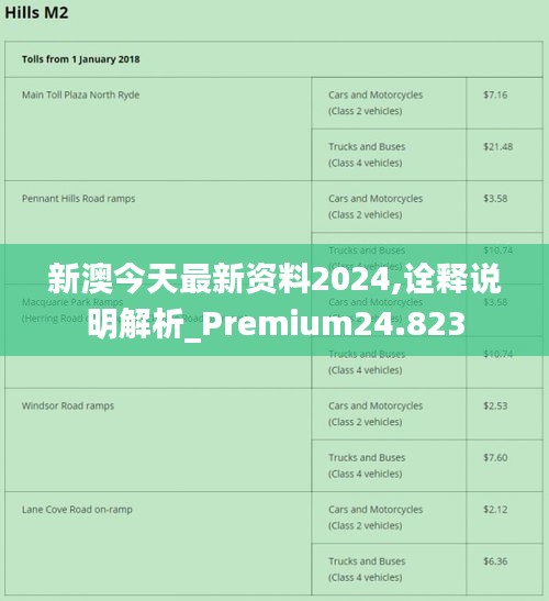 新澳资料正版免费资料,实地解读说明_PalmOS79.295