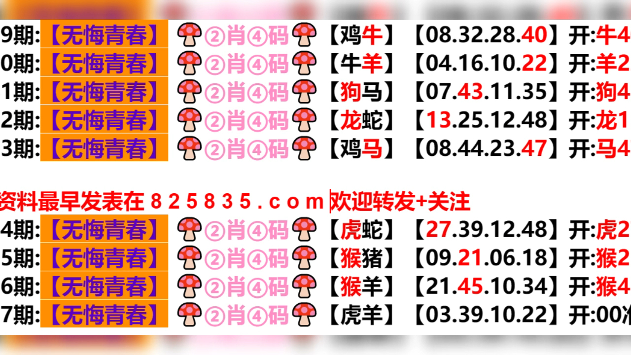 新奥门六开奖结果2024开奖记录,实地数据评估设计_娱乐版79.452