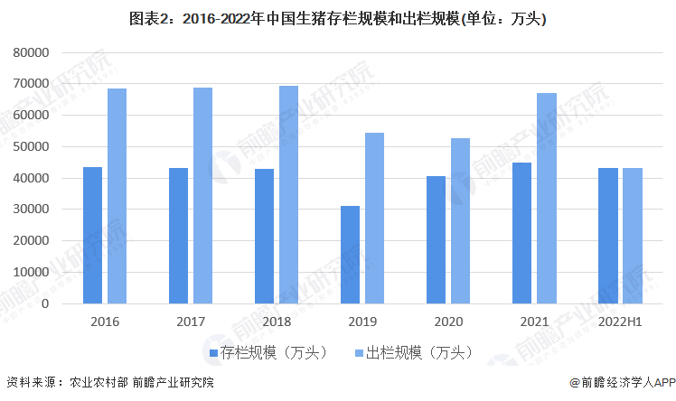 澳门开奖记录开奖结果2024,数据导向实施策略_W29.131