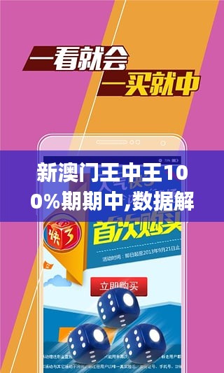 新澳门王中王100%期期中,安全策略评估_3DM51.545