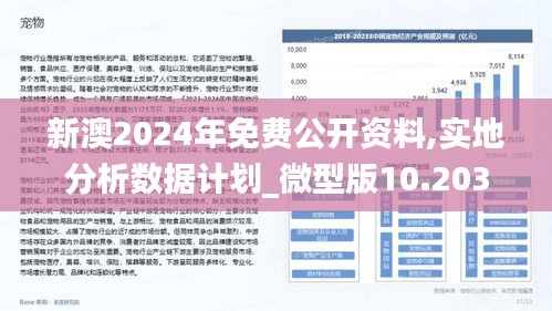 新澳2024正版资料免费公开,精细设计解析策略_专家版96.516