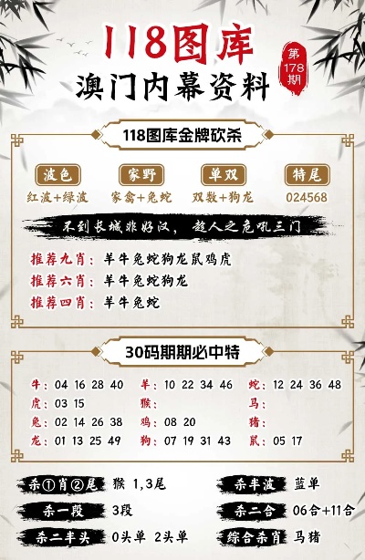 澳门三中三码精准100%,实地调研解释定义_NE版30.849