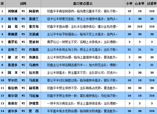 王中王精准资料期期中澳门高手,定性评估说明_定制版23.950