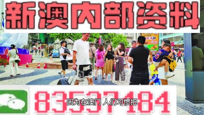 2024新澳精准资料免费提供网站,深入应用数据解析_SE版72.854