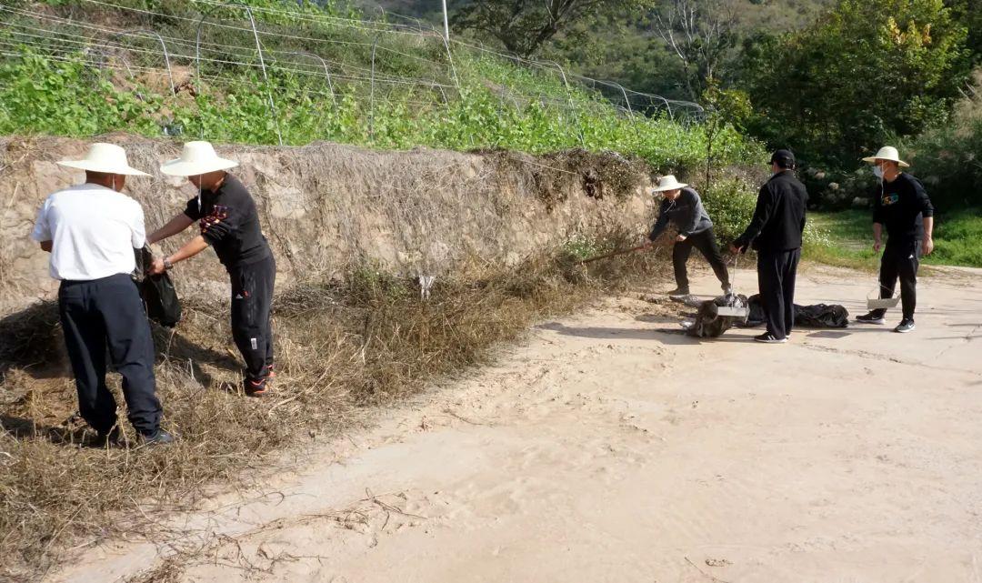 金平苗族瑶族傣族自治县农业农村局最新动态