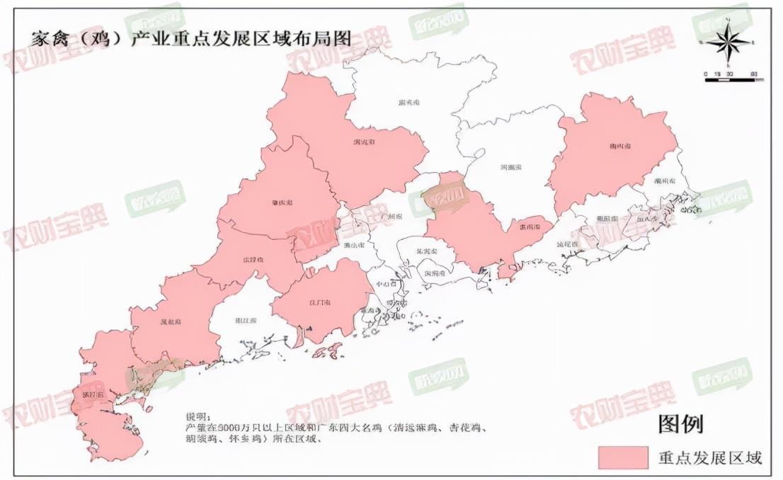 2024年12月31日 第14页