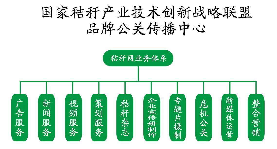 贡觉县数据和政务服务局发展规划探讨与展望