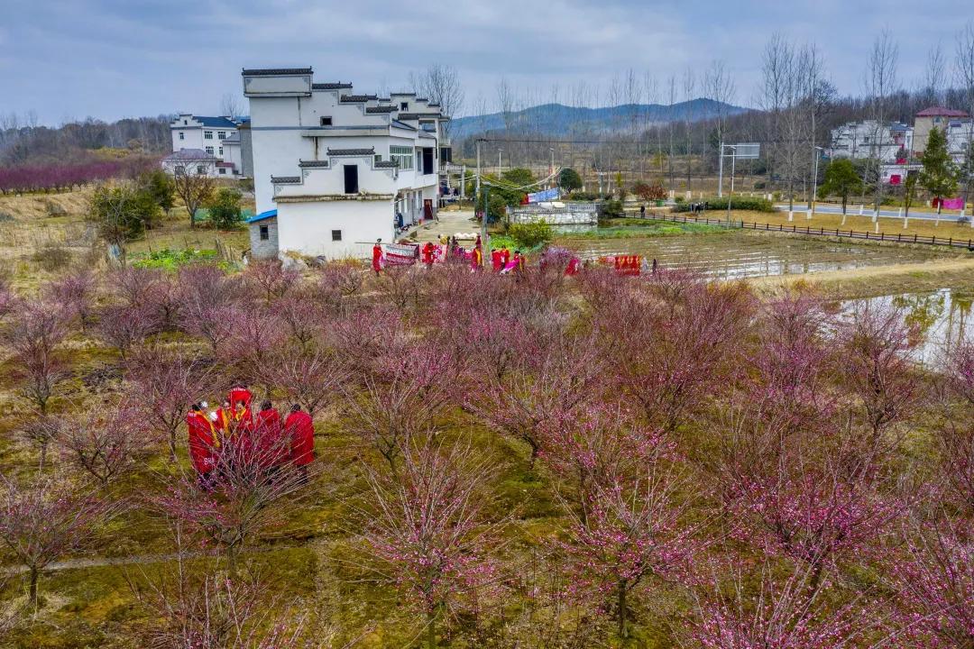 湖口县卫生健康局最新新闻报告