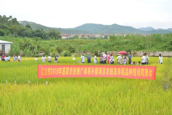 晋宁县农业农村局新项目推动农业现代化，乡村振兴再添动力