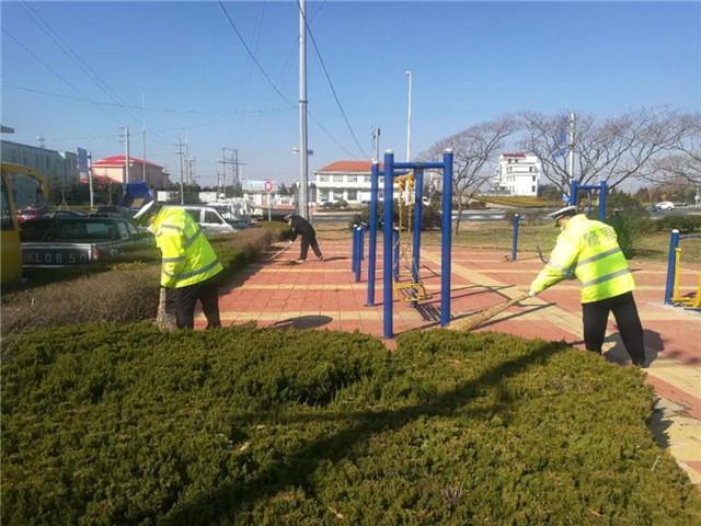 大李家镇交通新动态，发展助力地方繁荣