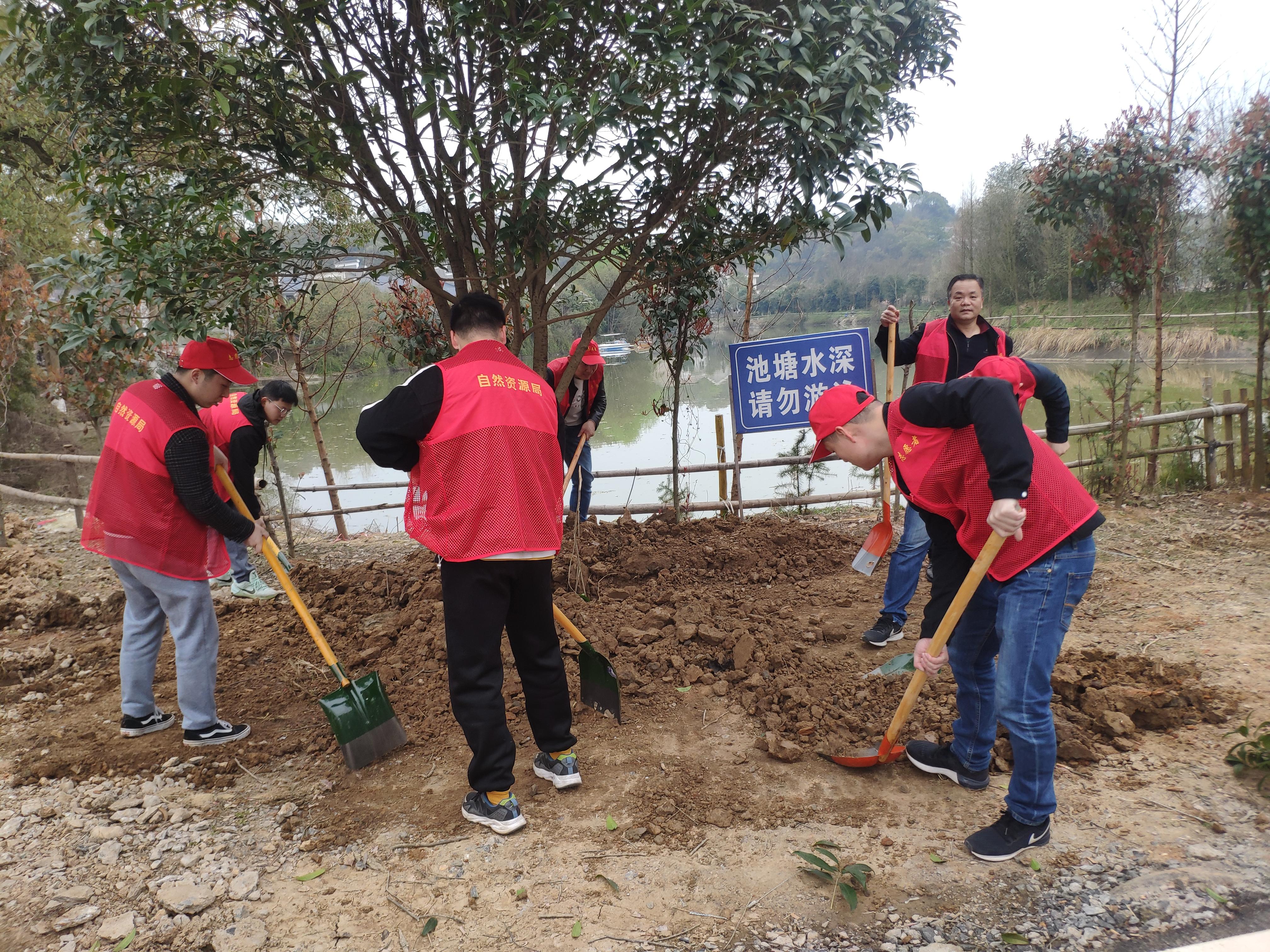 醴陵市文化局最新项目概览，探寻文化繁荣的新动态