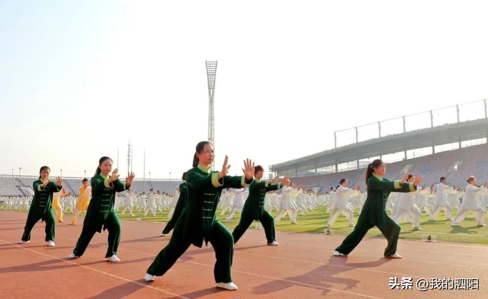 泗阳县体育馆最新招聘概览