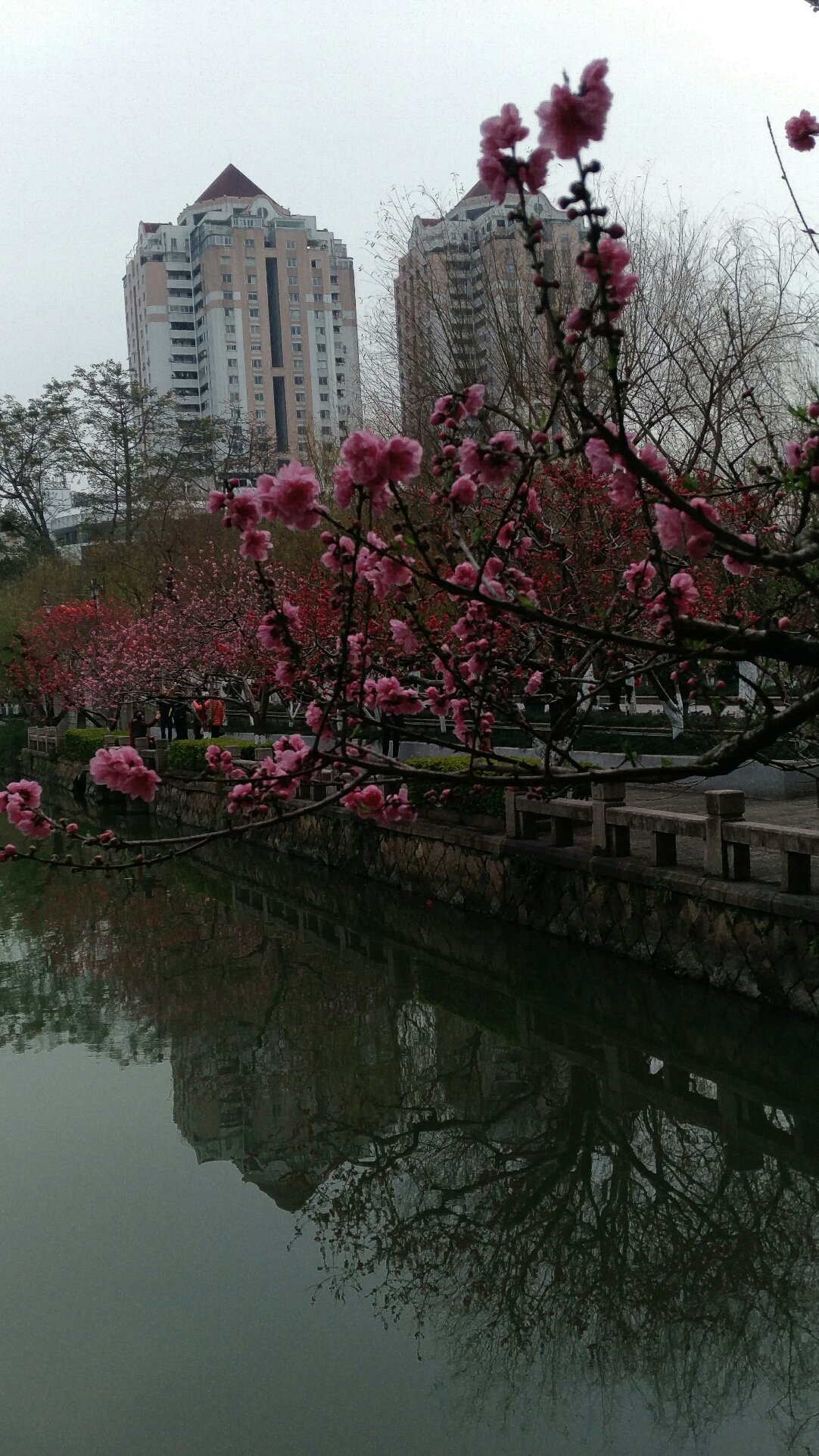 彩香街道最新天气概况