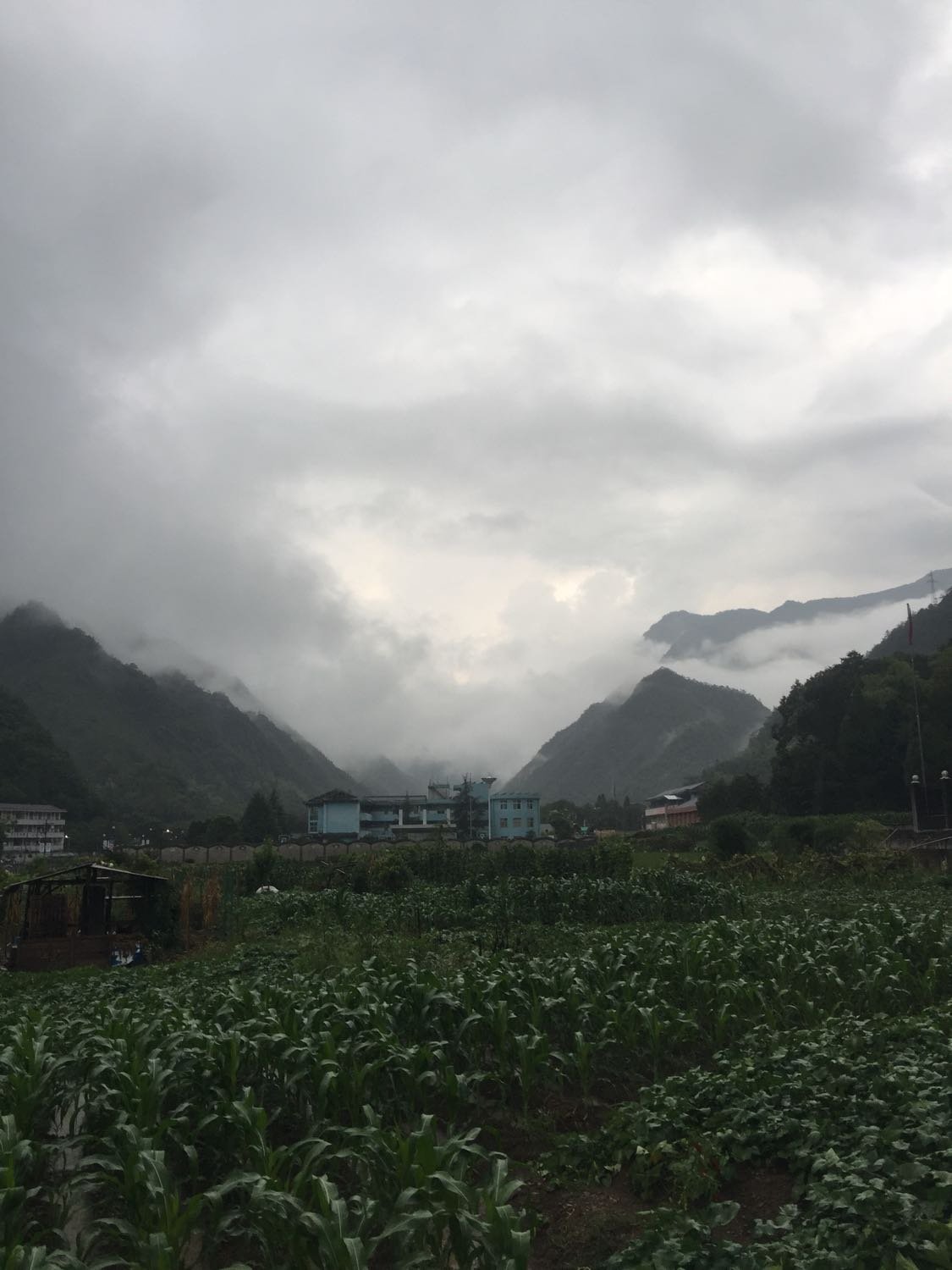 前场镇天气预报更新通知