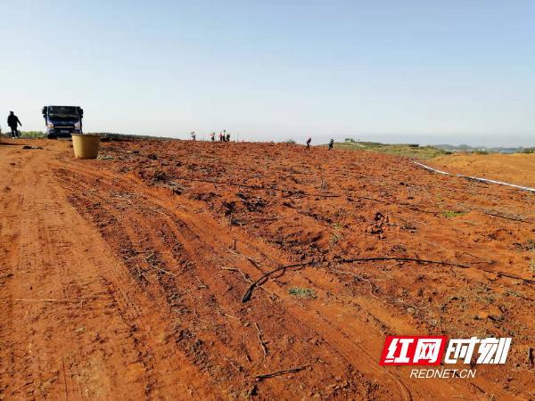 荒地乡重塑未来蓝图，最新发展规划揭秘