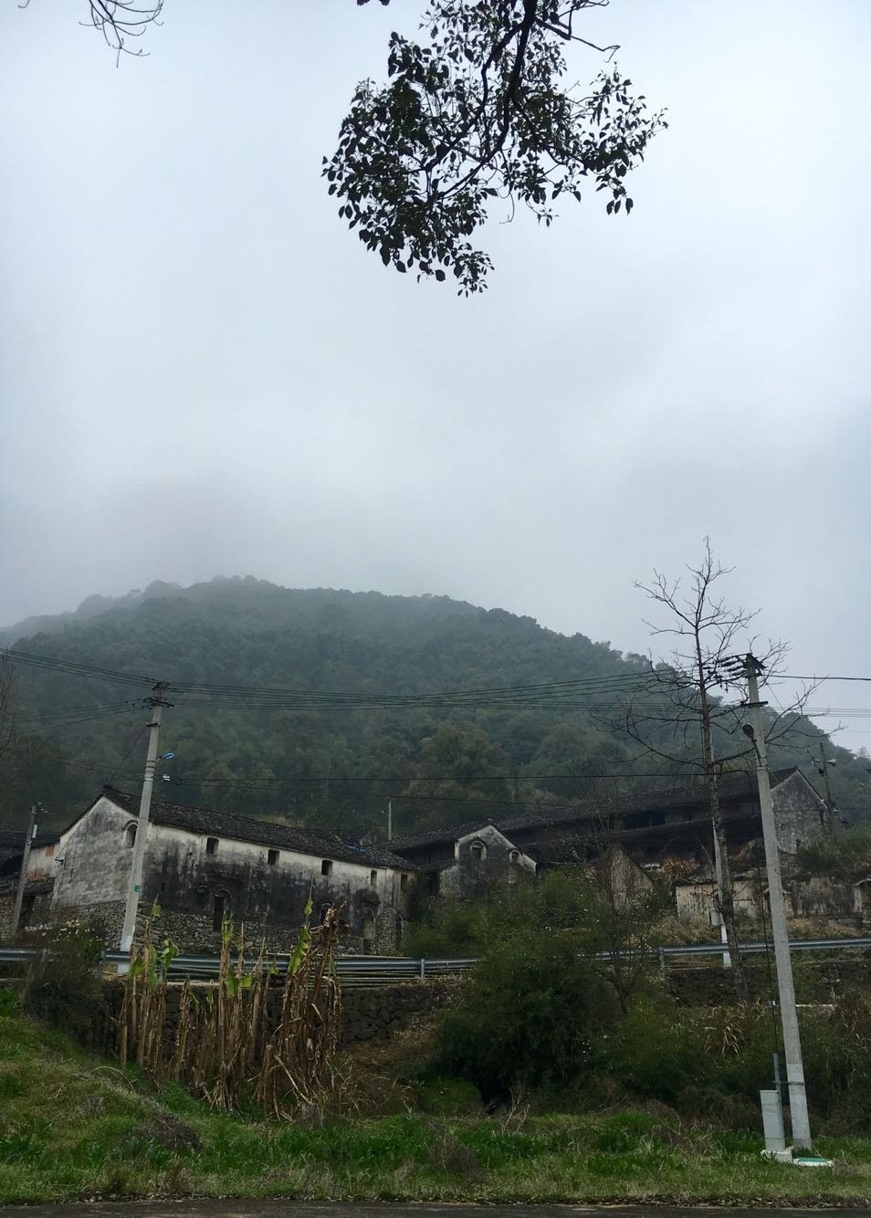 曲松村今日及未来天气预报