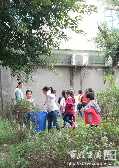 青白江区小学未来发展规划展望