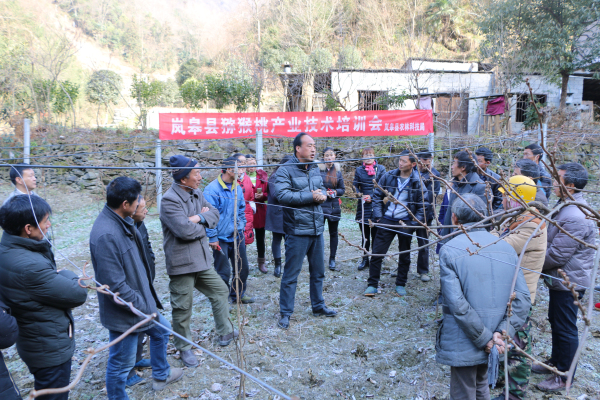 巴结村新貌，发展与变迁的最新报道