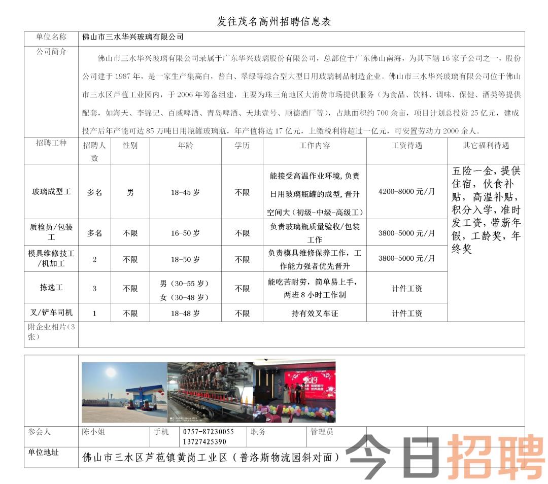 茶江村最新招聘信息全面解析