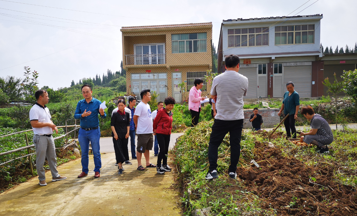 毕节地区市企业调查队最新项目研究报告揭秘